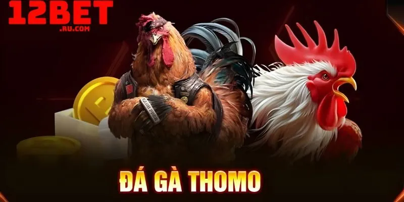 12BET live các trận chọi gà Thomo full 